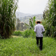 Hu Yingping, head of the Rwanda Agricultural Technology Demonstration Center, walks on the grounds.